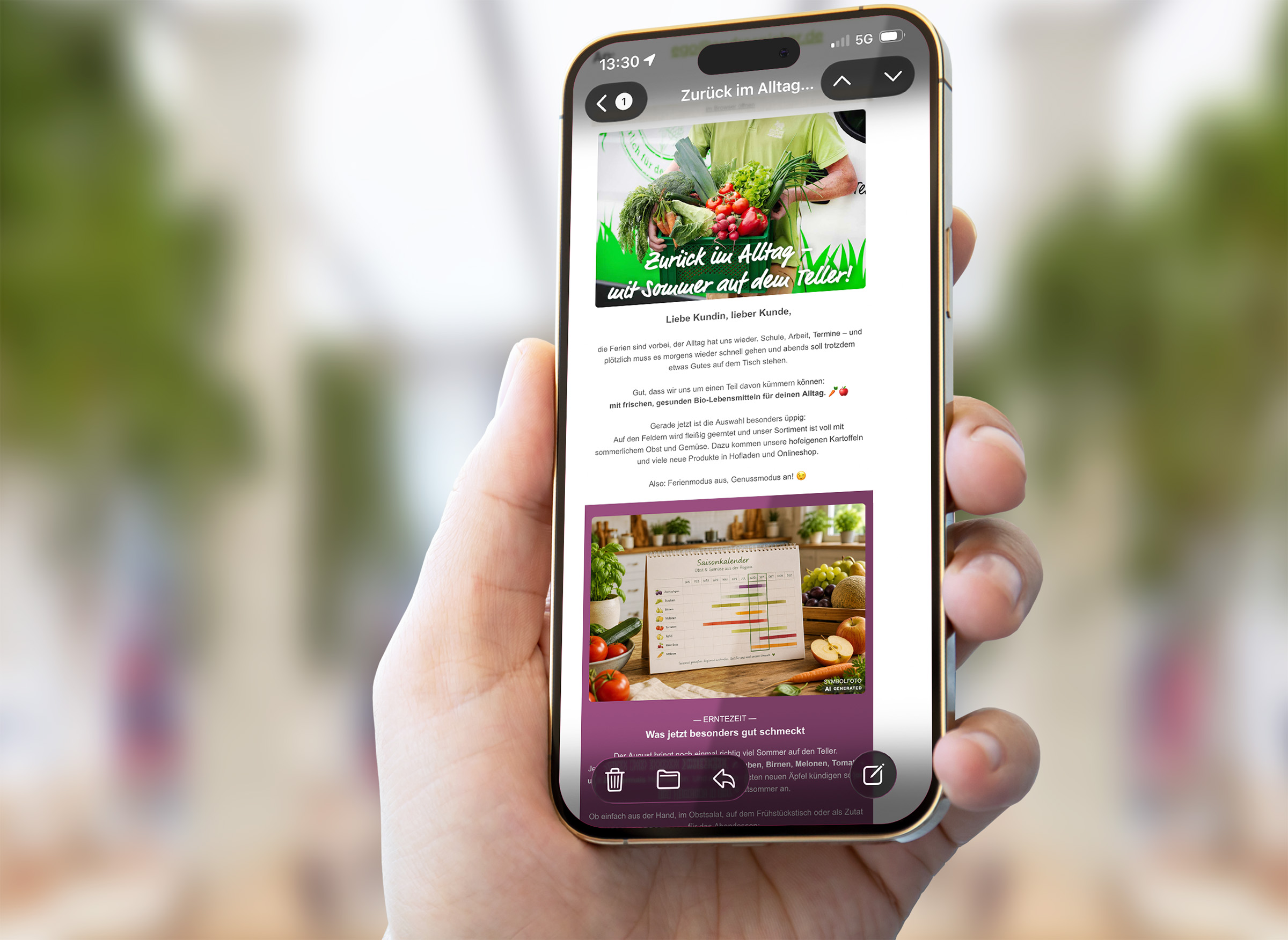 Erstellung von E-Mail-Newslettern - hier: Ansicht des Newsletters auf dem Smartphone, das in der Hand gehalten wird
